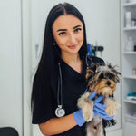 brunette-girl-vet-clinic-examine-with-stethoscope-dog-breed-yorkshire-terrier.webp