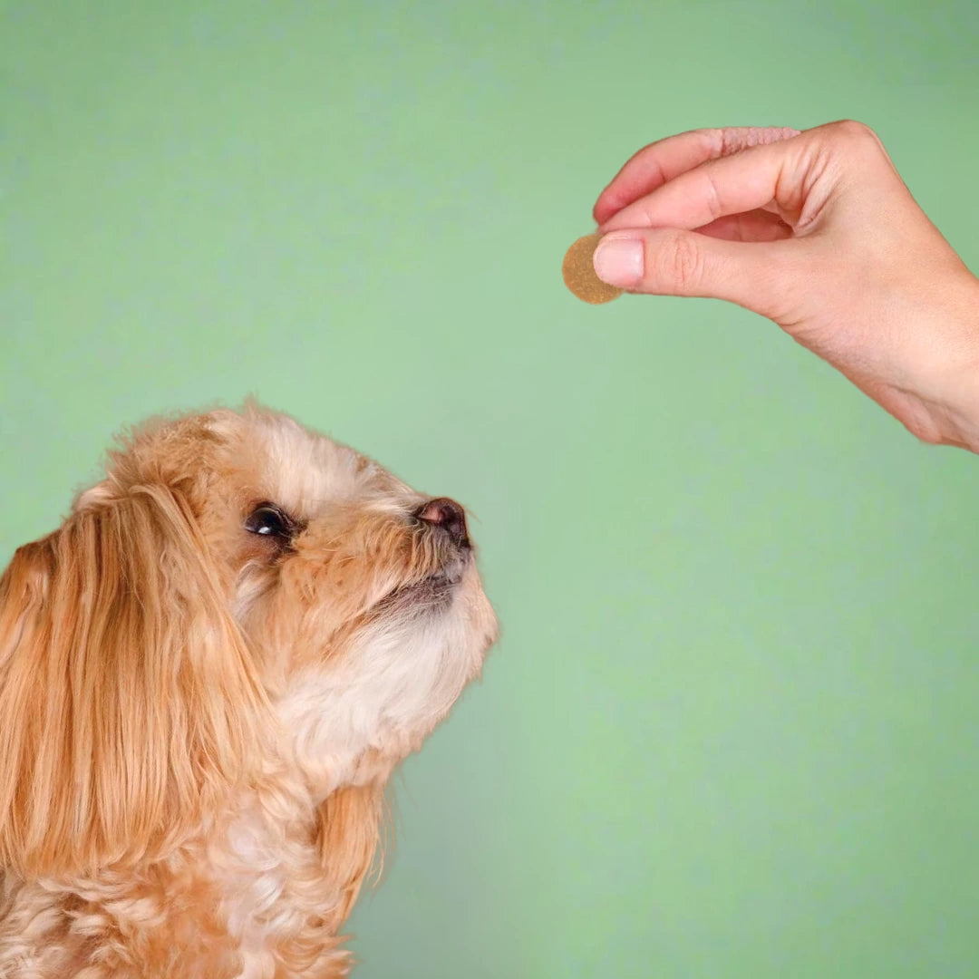 VitalPaws - Daily Multivitamin Chews