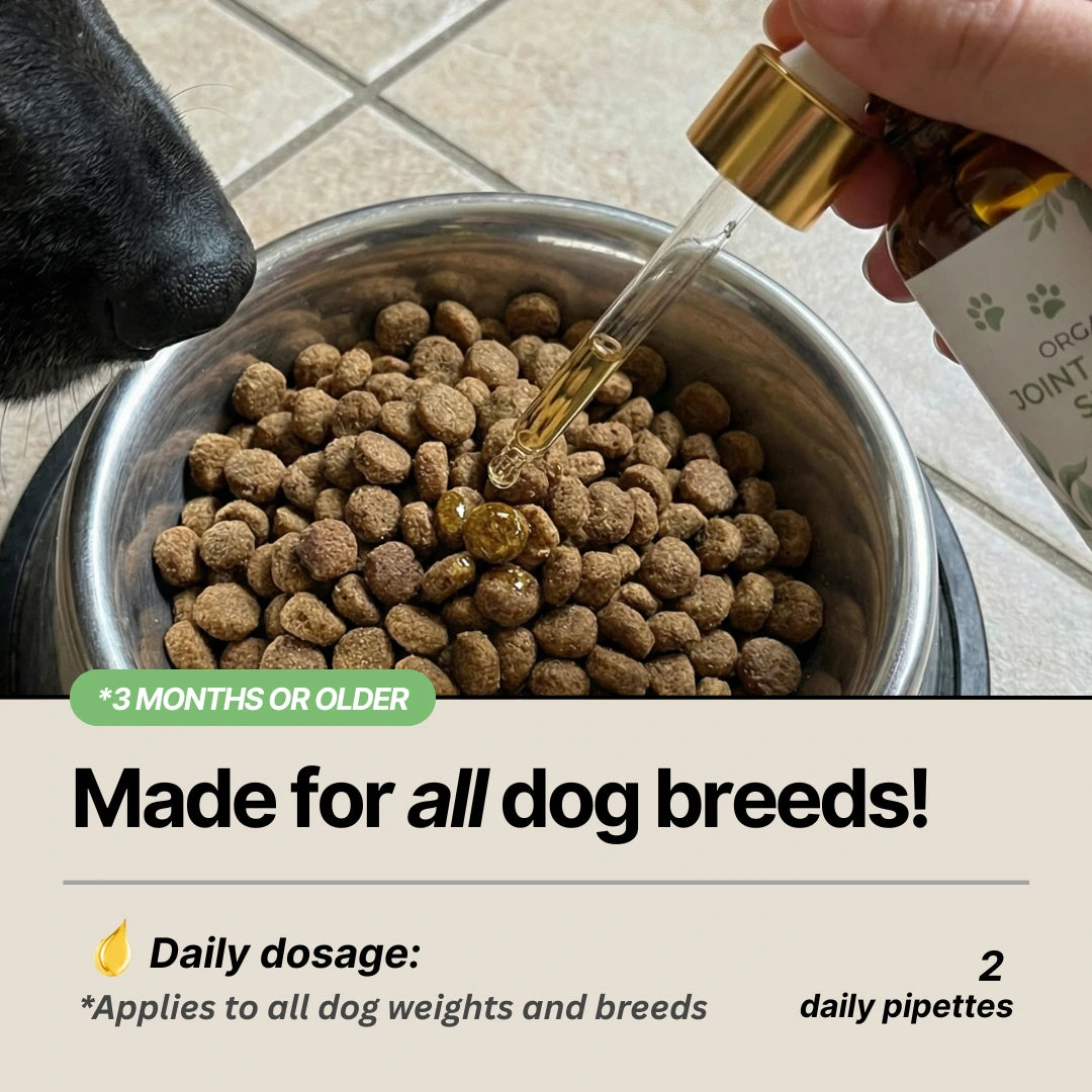 Joint Serum Complex® for dogs