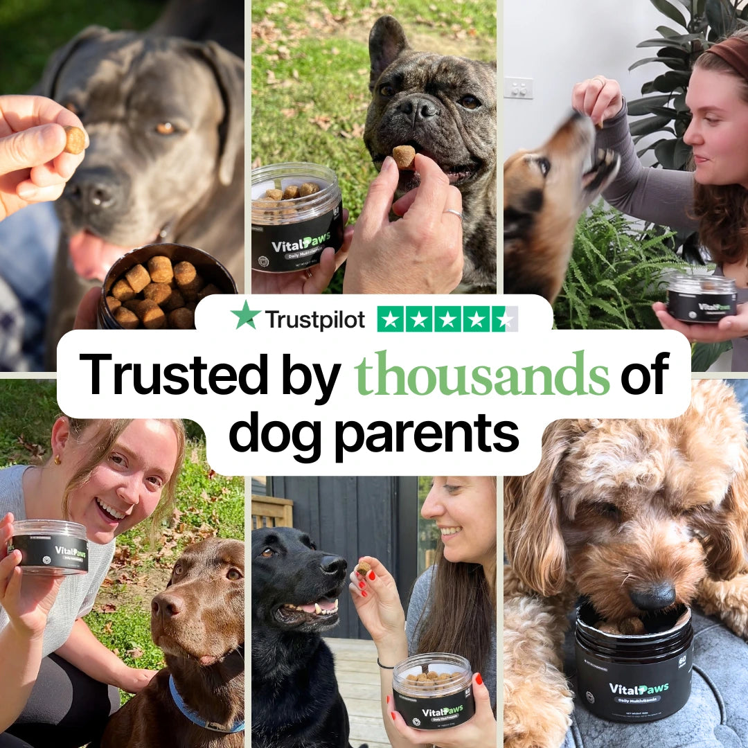 VitalPaws - Daily Multivitamin Chews