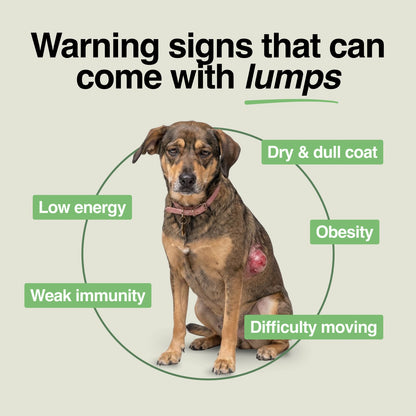 Daily Support Chews for Dogs with Lumps