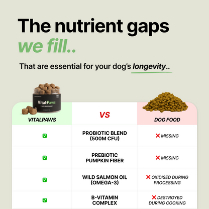 Daily Gut Support Chews for Dogs