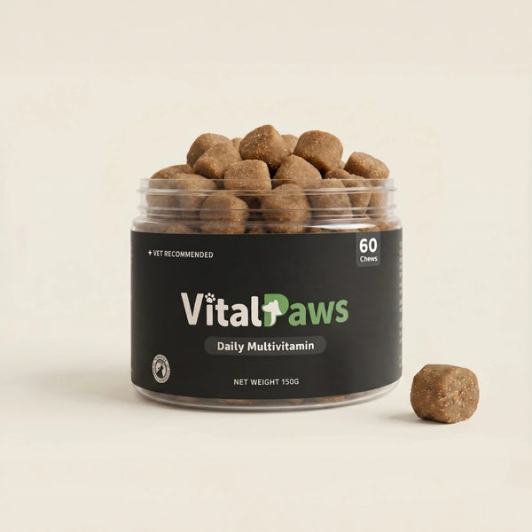 Daily Multivitamin Chews for Dogs
