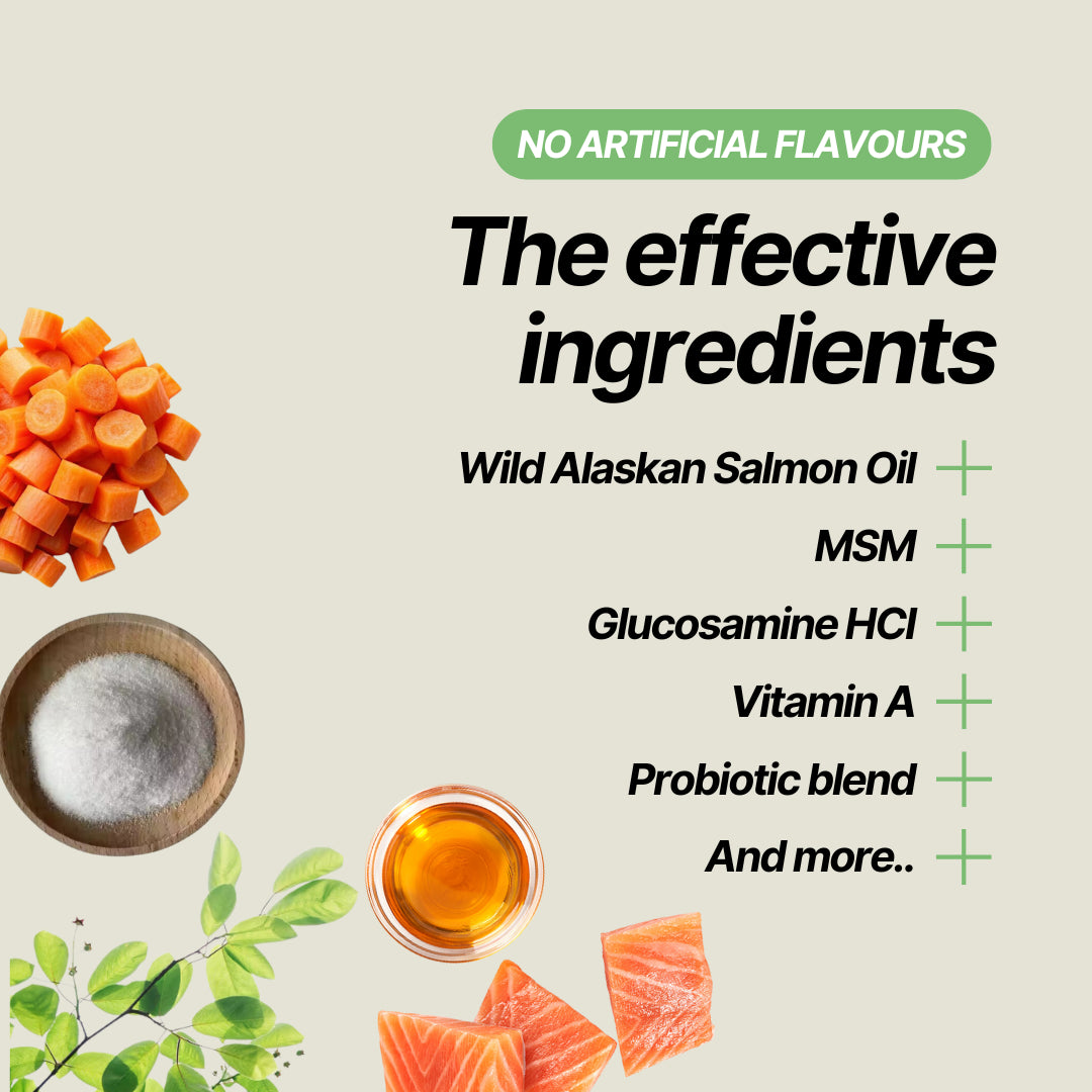 VitalPaws™ Daily Multivitamin