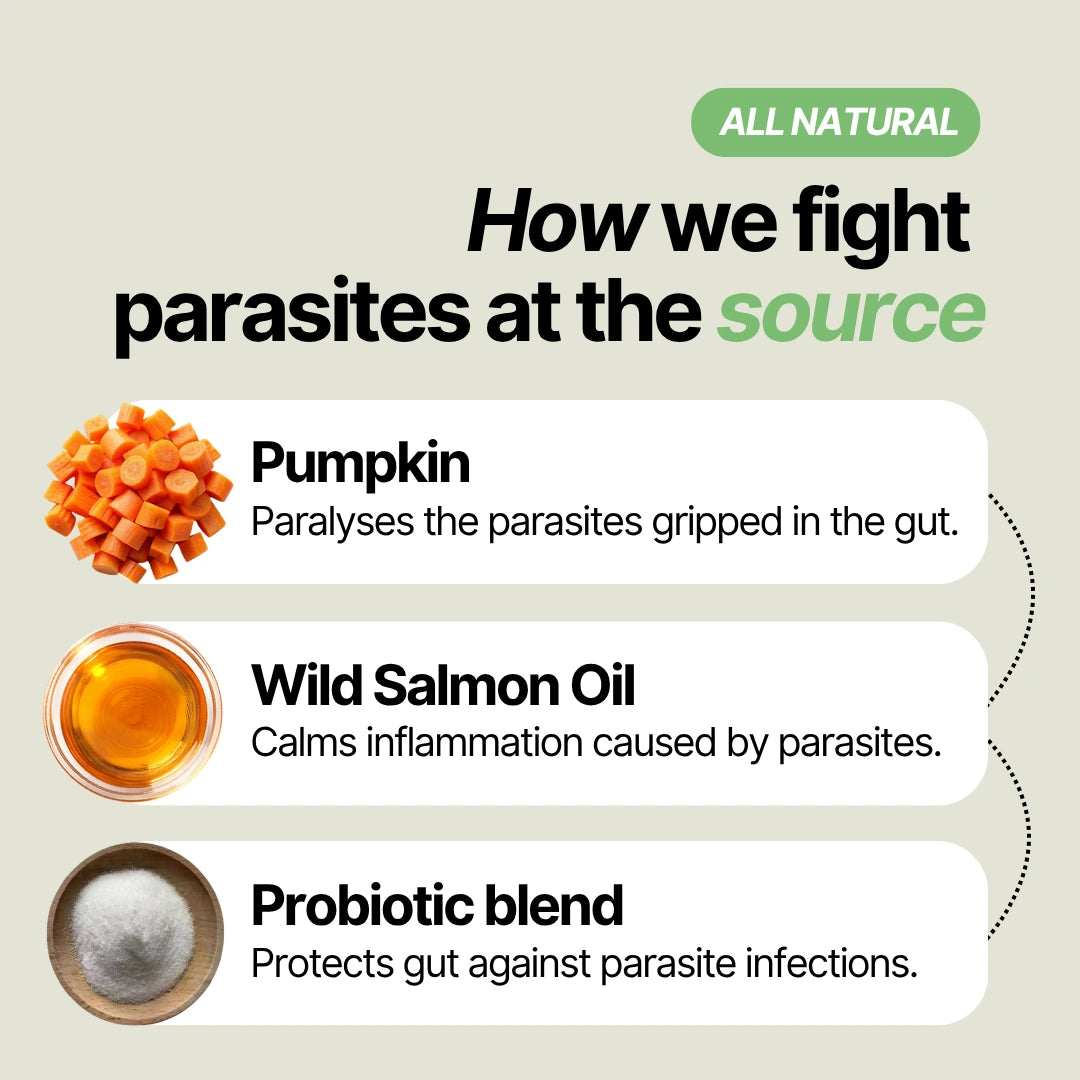 Daily Support Chews for Dogs with Parasites