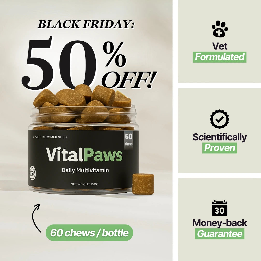 The Daily Multivitamin Soft Chews