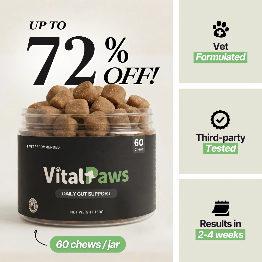 Daily Gut Support Chews for Dogs