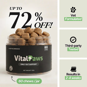 Daily Gut Support Chews for Dogs