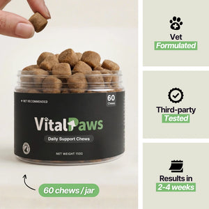 Daily Support Chews for Dogs
