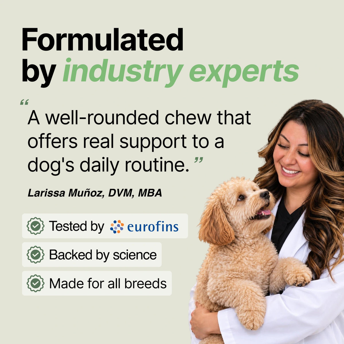 Daily Support Chews for Dogs