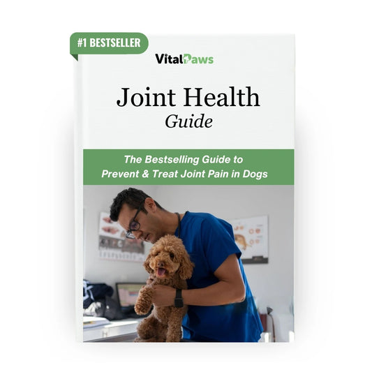 #1 Joint Health Guide