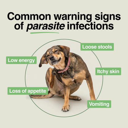 Daily Support Chews for Dogs with Parasites