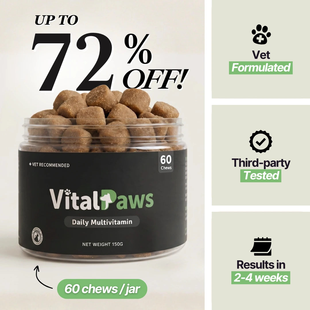 Daily Multivitamin Chews for Dogs