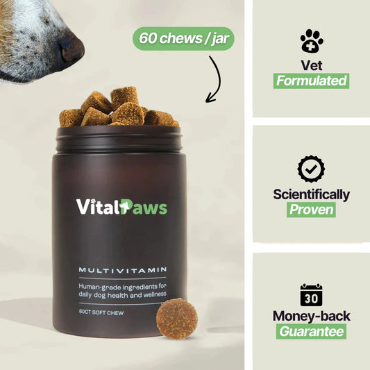 VitalPaws™ Daily Multivitamin