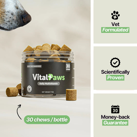 VitalPaws™ Daily Multivitamin